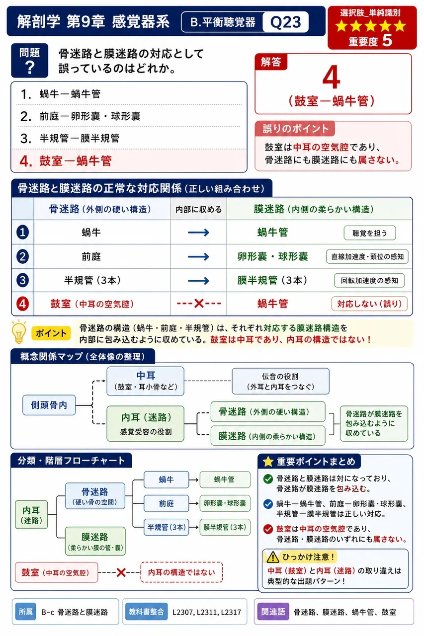 骨迷路と膜迷路の対応として誤っているのはどれか。 解説図