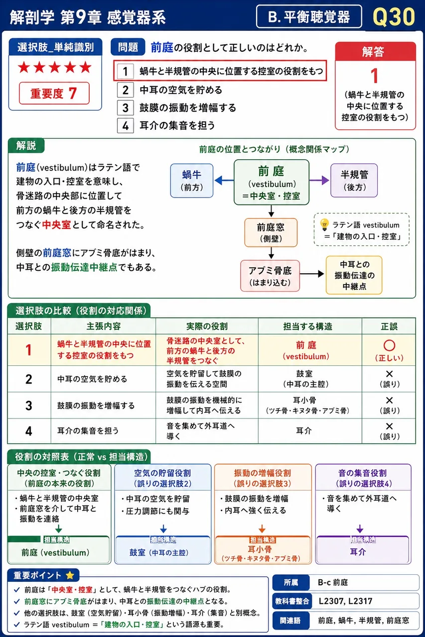 前庭の役割として正しいのはどれか。 解説図