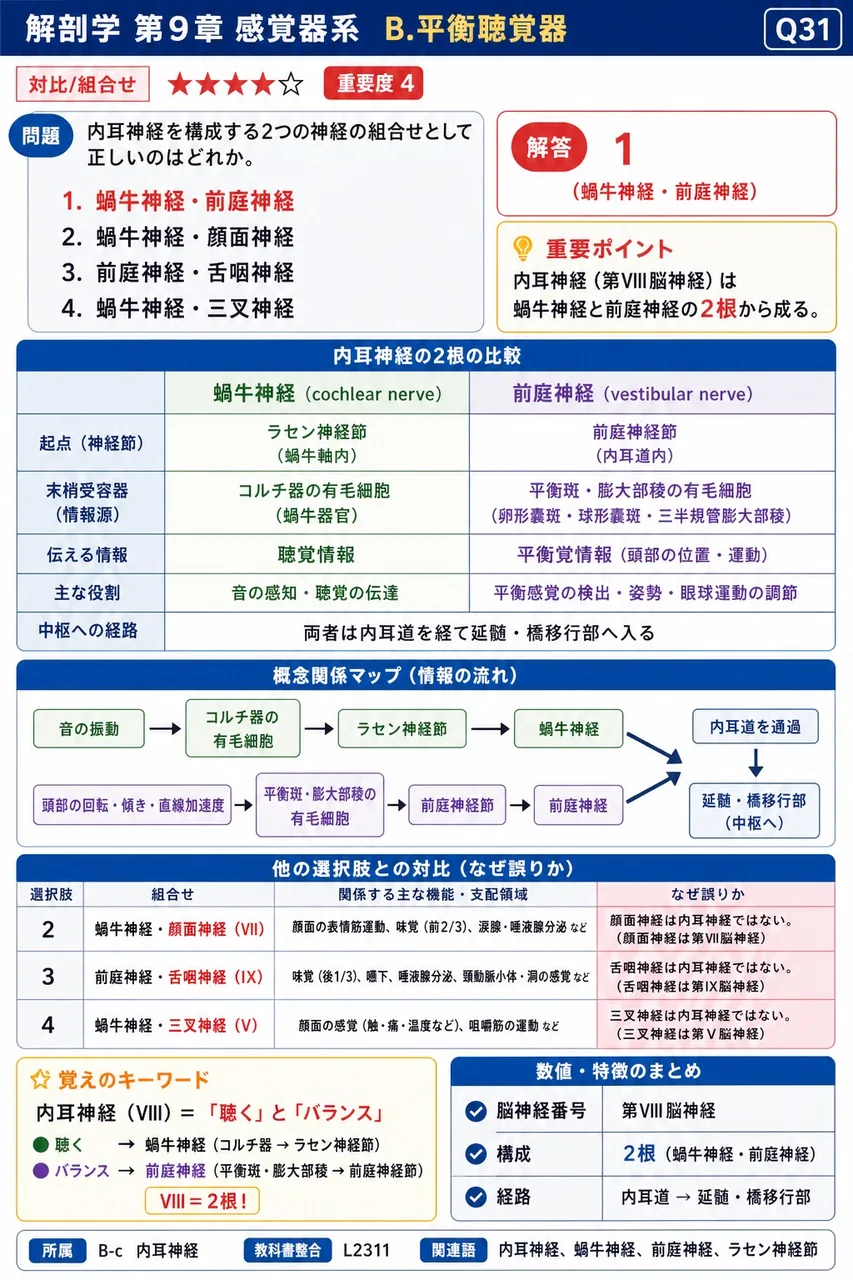 内耳神経を構成する2つの神経の組合せとして正しいのはどれか。 解説図