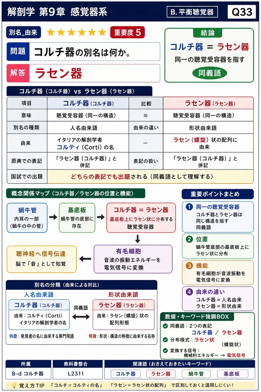 コルチ器の別名は何か。 解説図