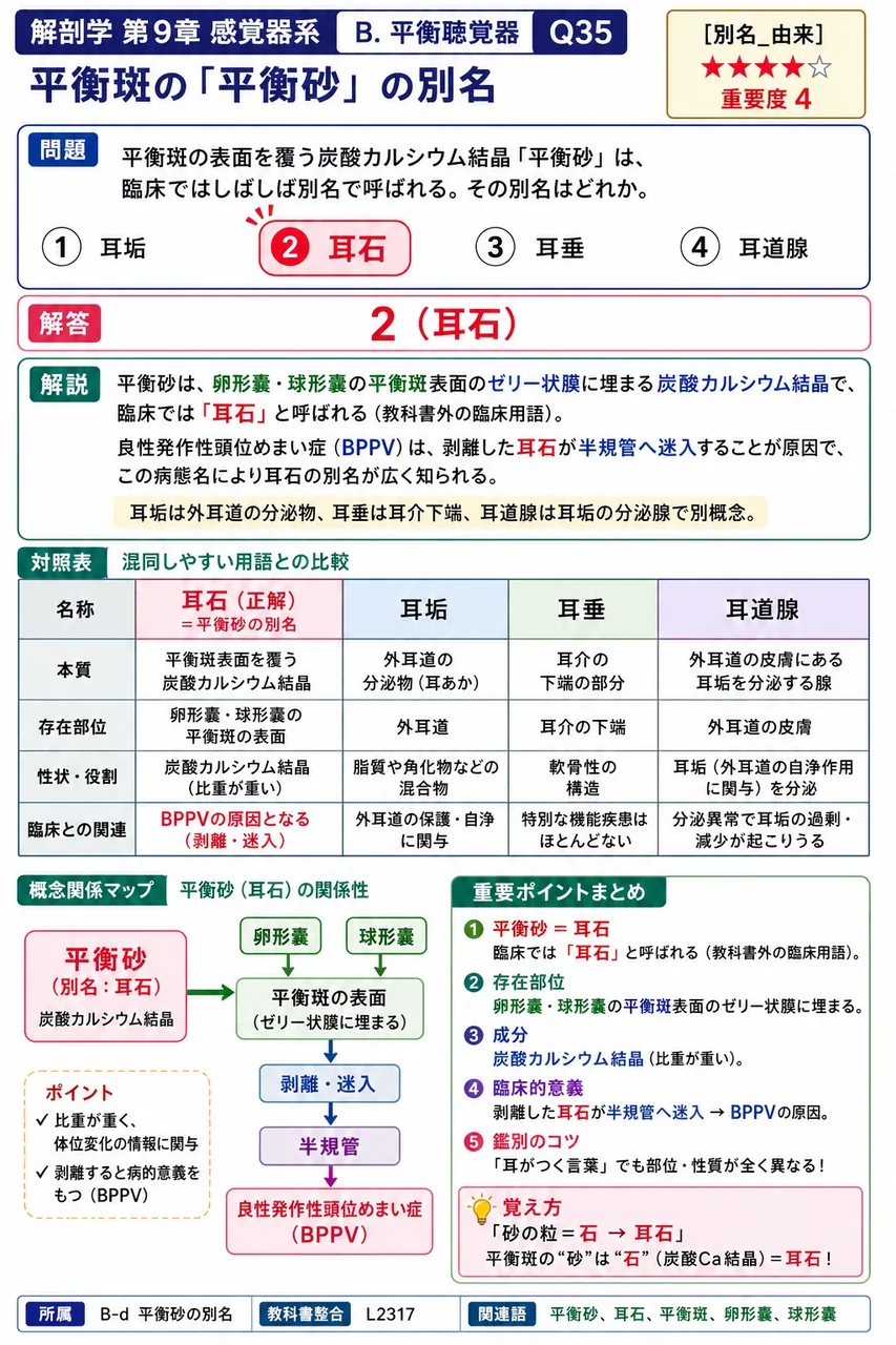 平衡斑の表面を覆う炭酸カルシウム結晶「平衡砂」は、臨床ではしばしば別名で呼ばれる。その別名はどれか。 解説図