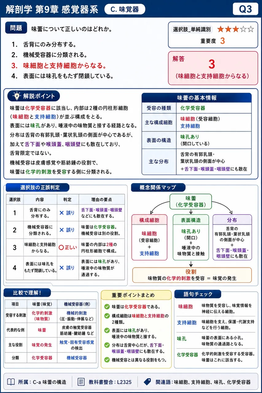 味蕾について正しいのはどれか。 解説図