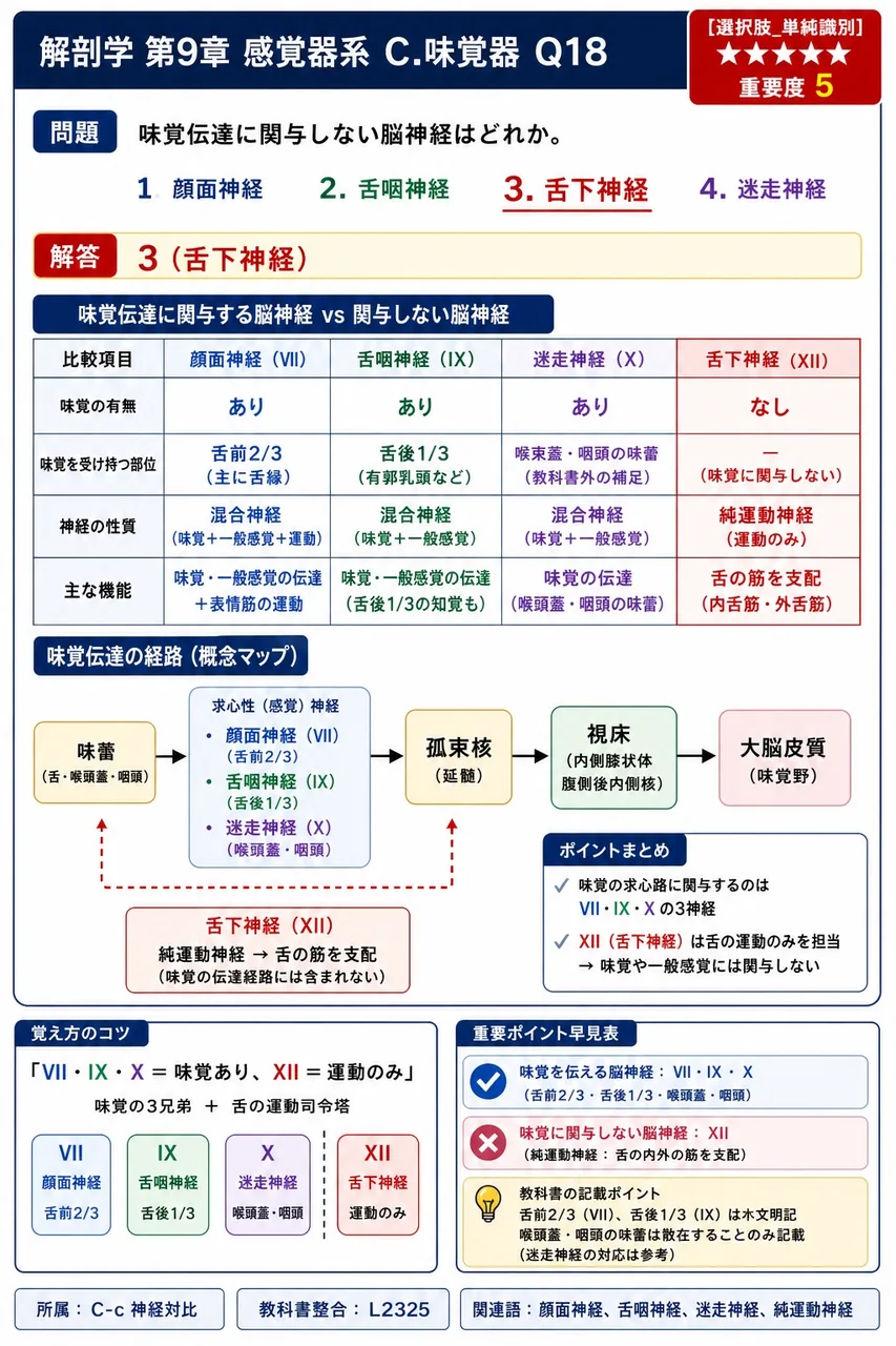 味覚伝達に関与しない脳神経はどれか。 解説図
