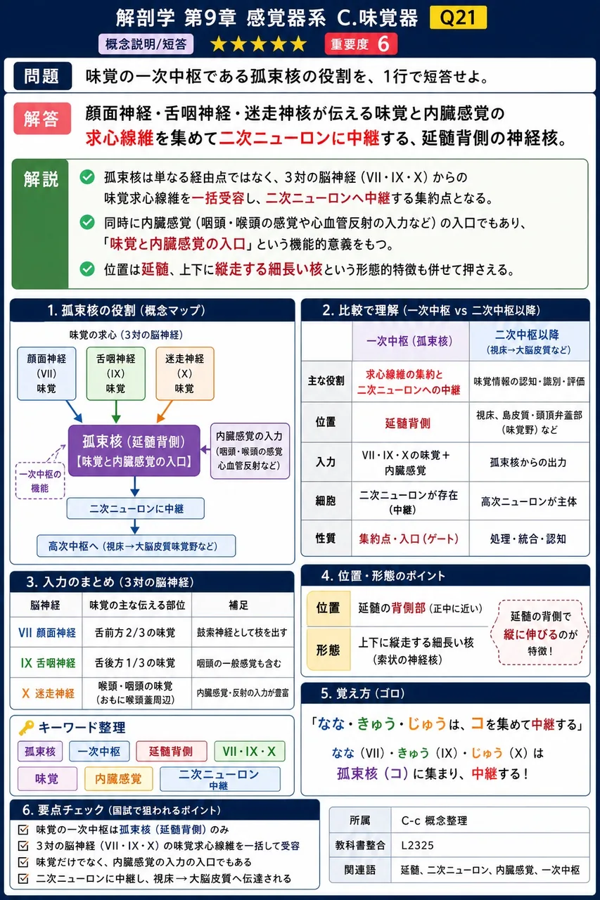 味覚の一次中枢である孤束核の役割を、1行で短答せよ。 解説図