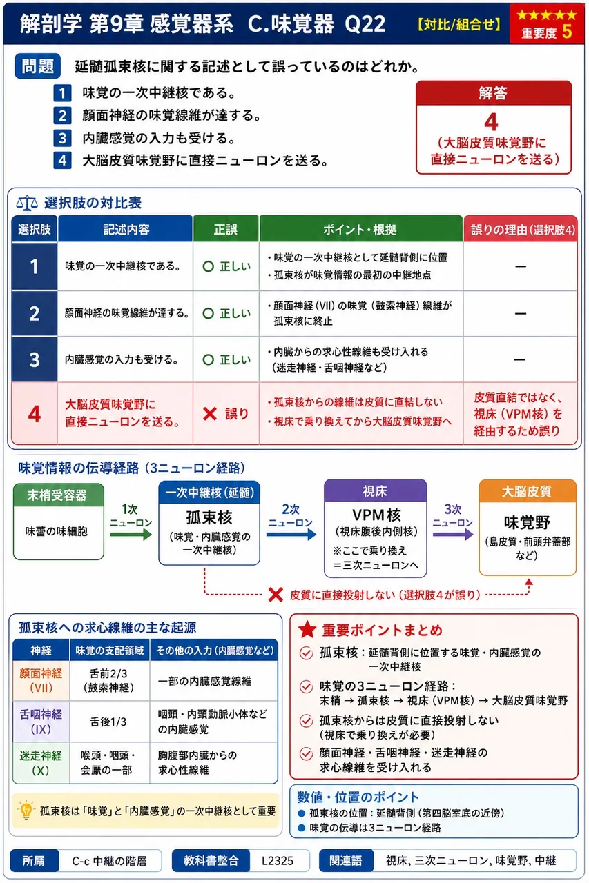延髄孤束核に関する記述として誤っているのはどれか。 解説図