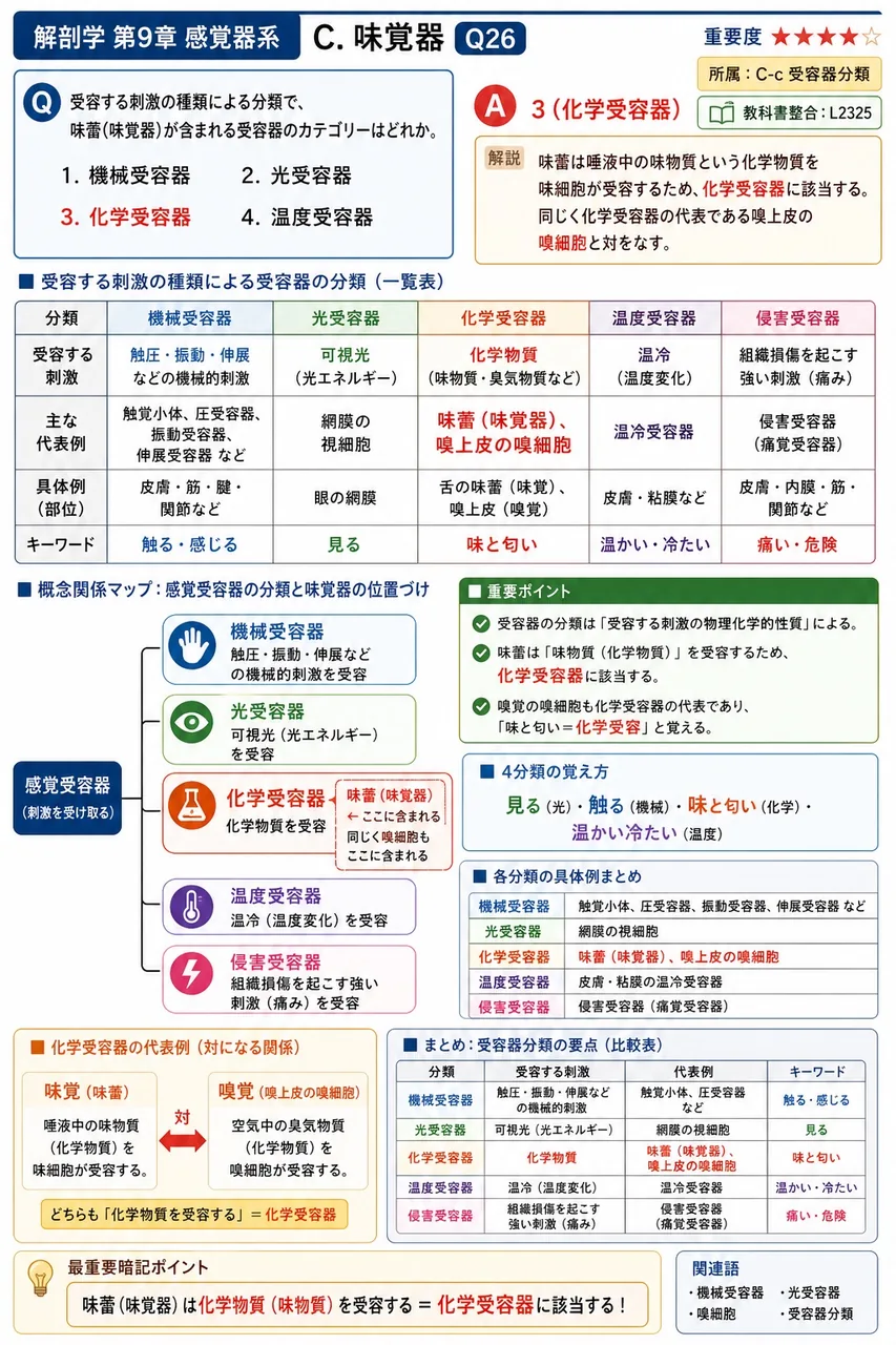 受容する刺激の種類による分類で、味蕾(味覚器)が含まれる受容器のカテゴリーはどれか。 解説図
