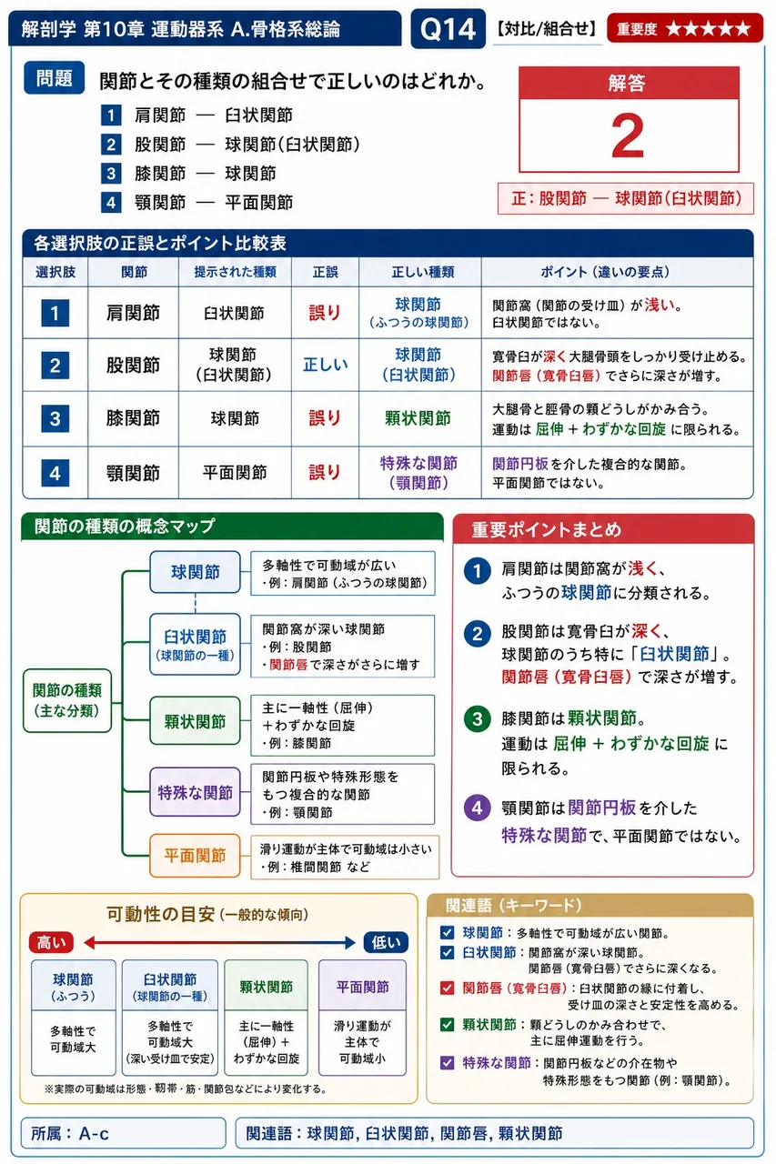 舌骨を除くすべての骨は他の骨と連結して骨格をつくる。2つの骨が滑膜により結ばれ、関節腔をもつ可動性の高い連結を一般に( )という。 解説図