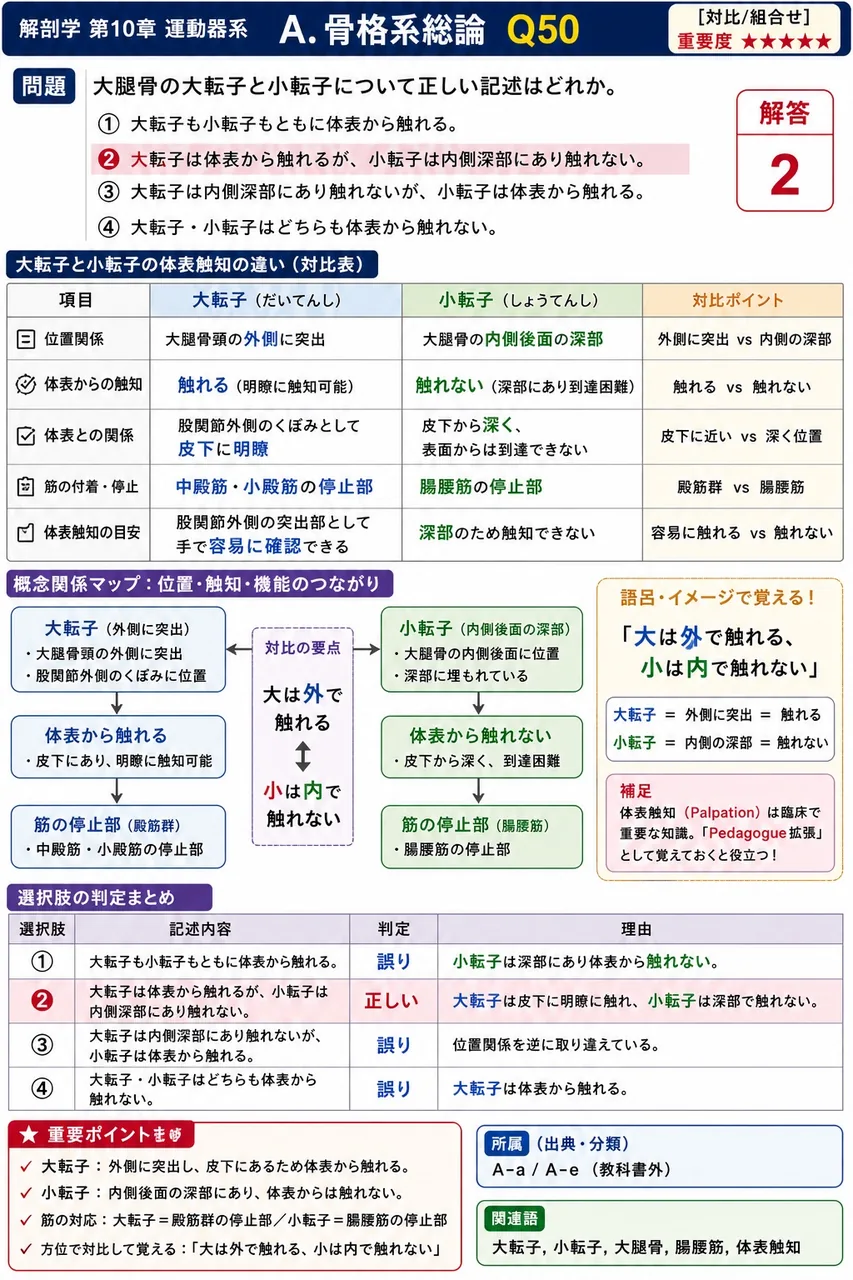 含気骨の内部空洞は粘膜で覆われ、鼻腔と交通する。この空洞を総称して何と呼ぶか。 解説図