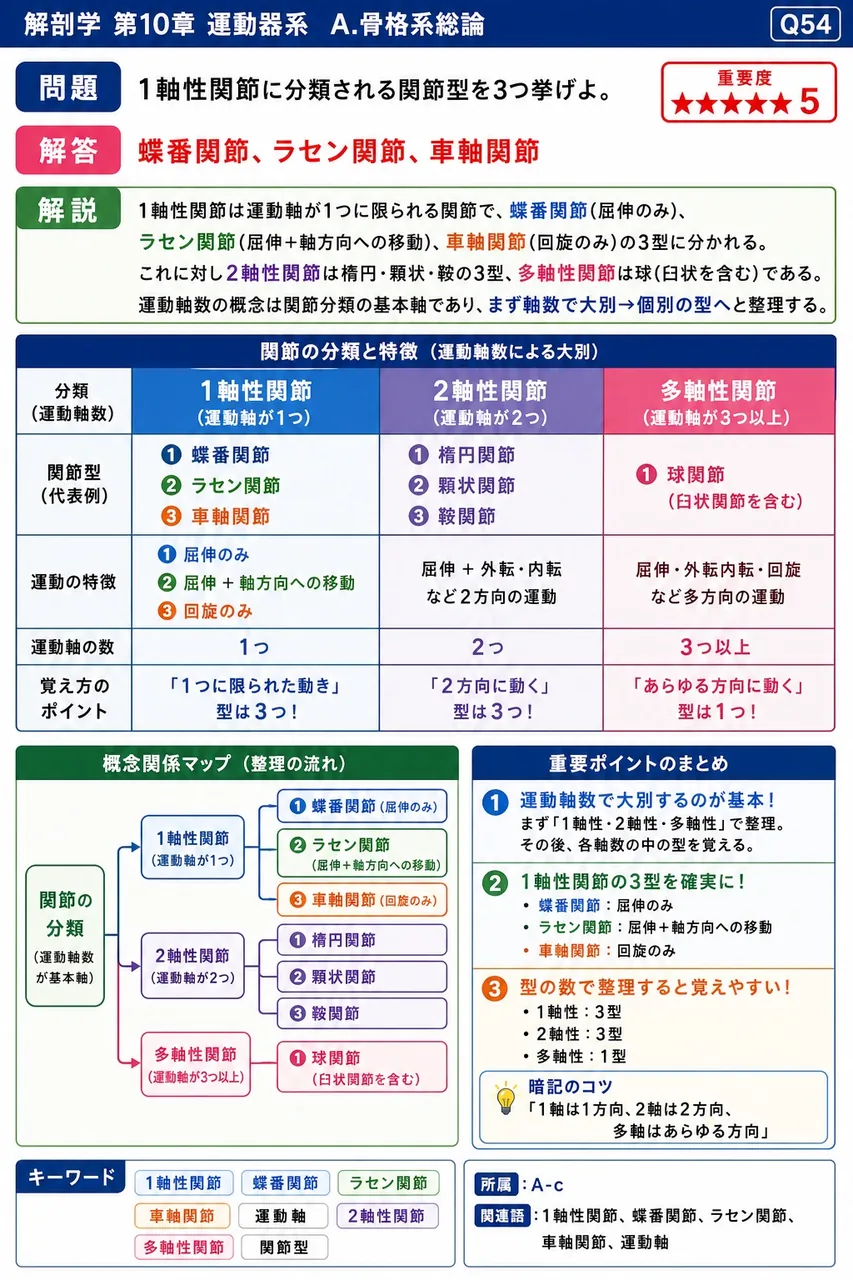 胸郭や骨盤の骨の海綿質の中にあり、生涯にわたり血球の生産を続ける造血組織を何というか。 解説図