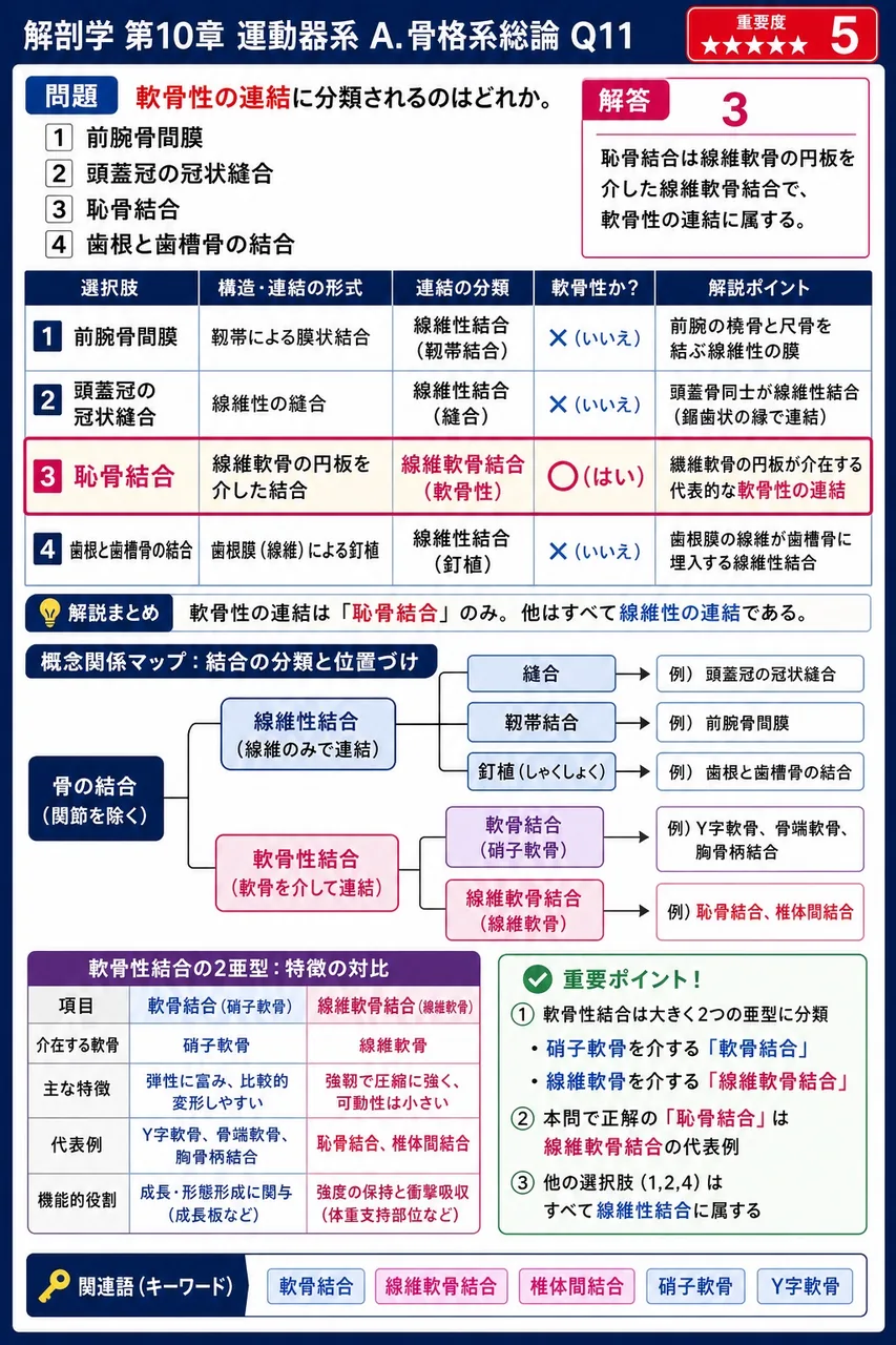 軟骨性の連結に分類されるのはどれか。 解説図