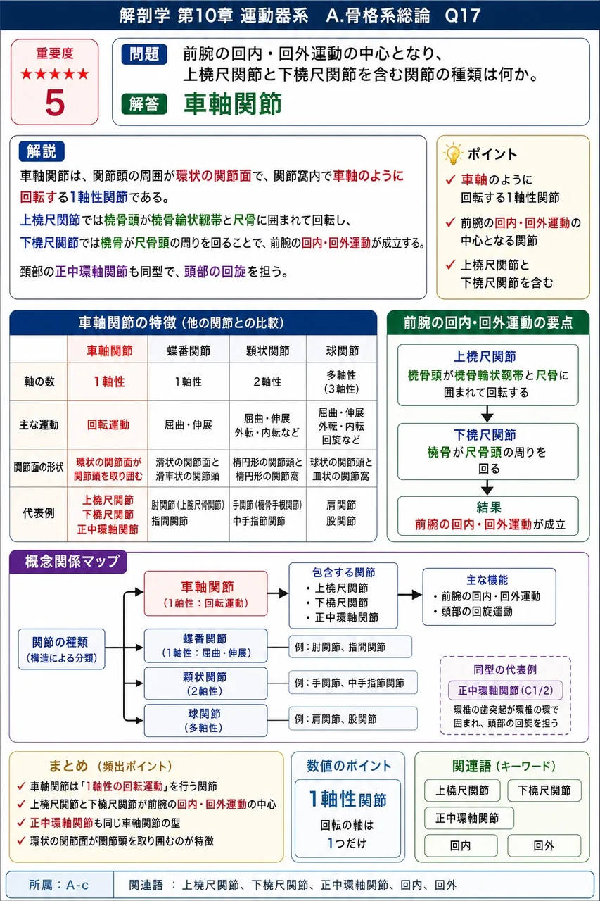 前腕の回内・回外運動の中心となり、上橈尺関節と下橈尺関節を含む関節の種類は何か。 解説図