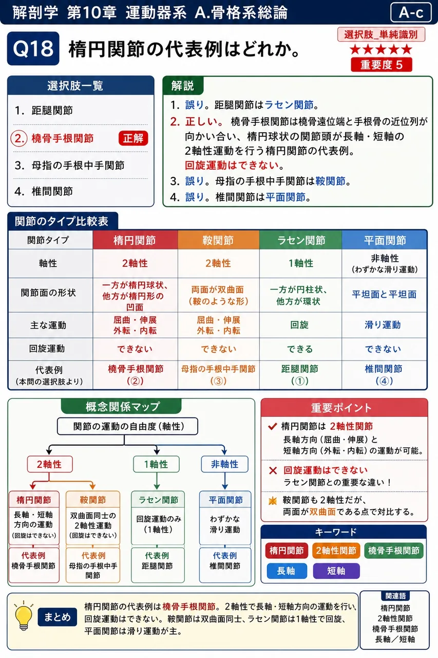 楕円関節の代表例はどれか。 解説図