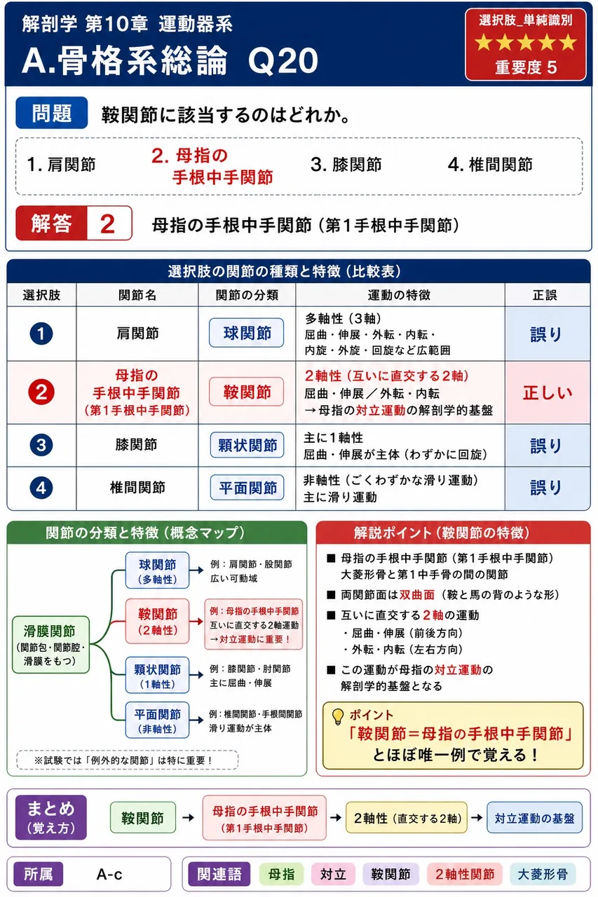 鞍関節に該当するのはどれか。 解説図