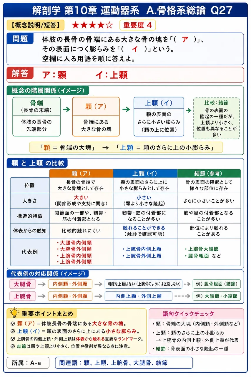 体肢の長骨の骨端にある大きな骨の塊を「( ア )」、その表面につく膨らみを「( イ )」という。空欄に入る用語を順に答えよ。 解説図