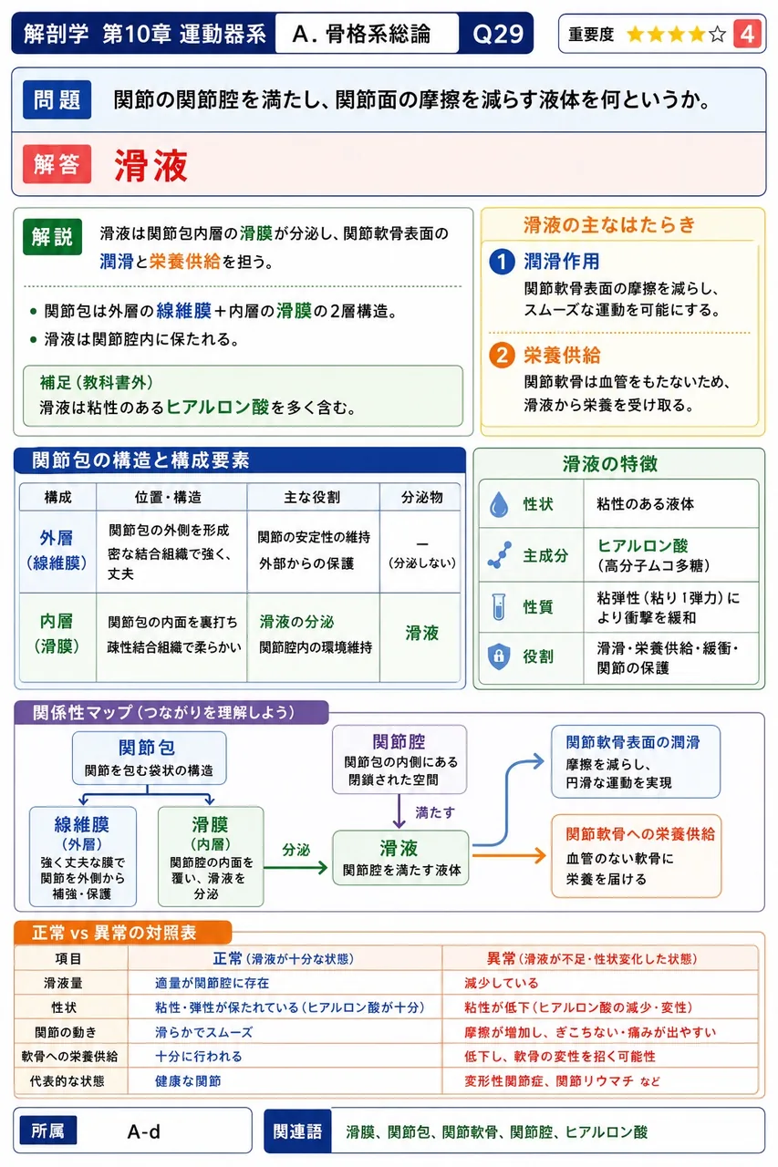 関節の関節腔を満たし、関節面の摩擦を減らす液体を何というか。 解説図