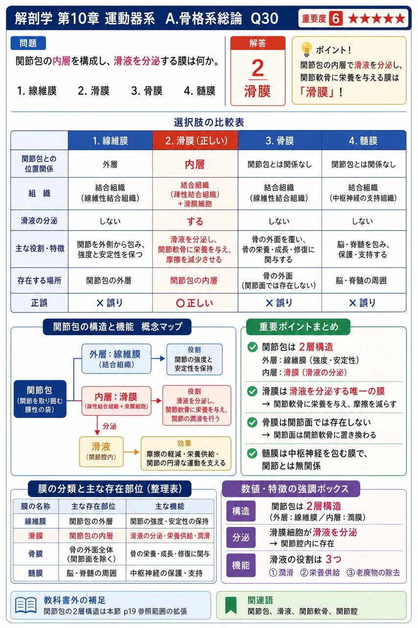 膝関節がもつ補助装置で、関節腔を不完全にC字形で分割する線維軟骨は何か。 解説図