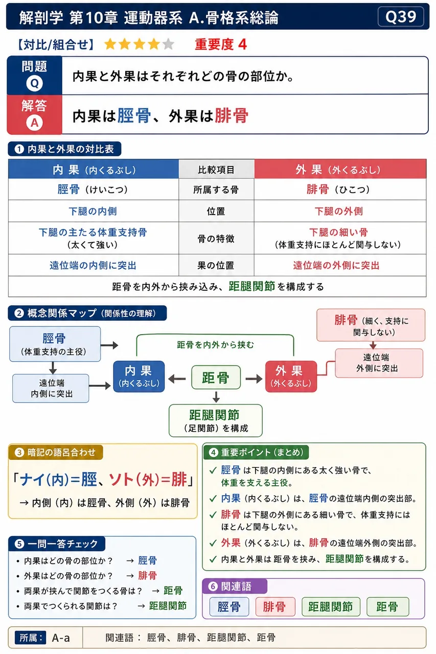 内果と外果はそれぞれどの骨の部位か。 解説図