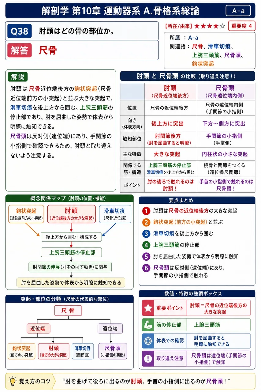 上橈尺関節と下橈尺関節について正しい記述はどれか。 解説図