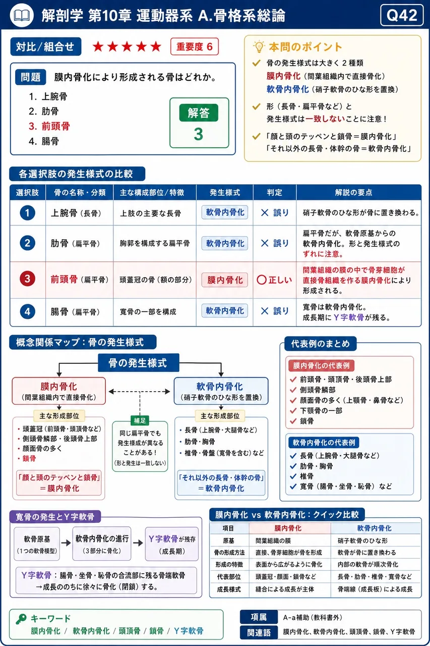 恥骨結合と椎体間結合に共通する連結の種類はどれか。 解説図