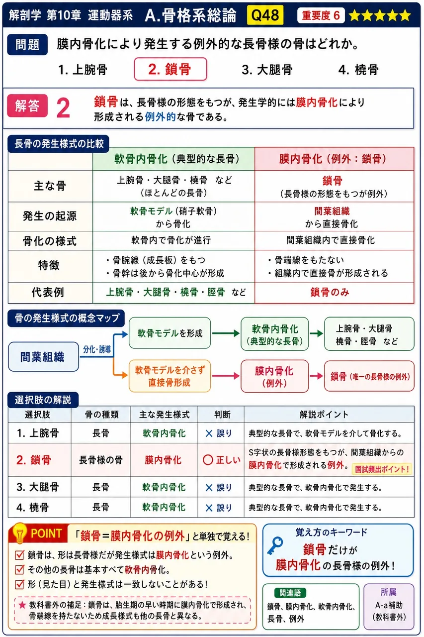 膜内骨化により発生する例外的な長骨様の骨はどれか。 解説図