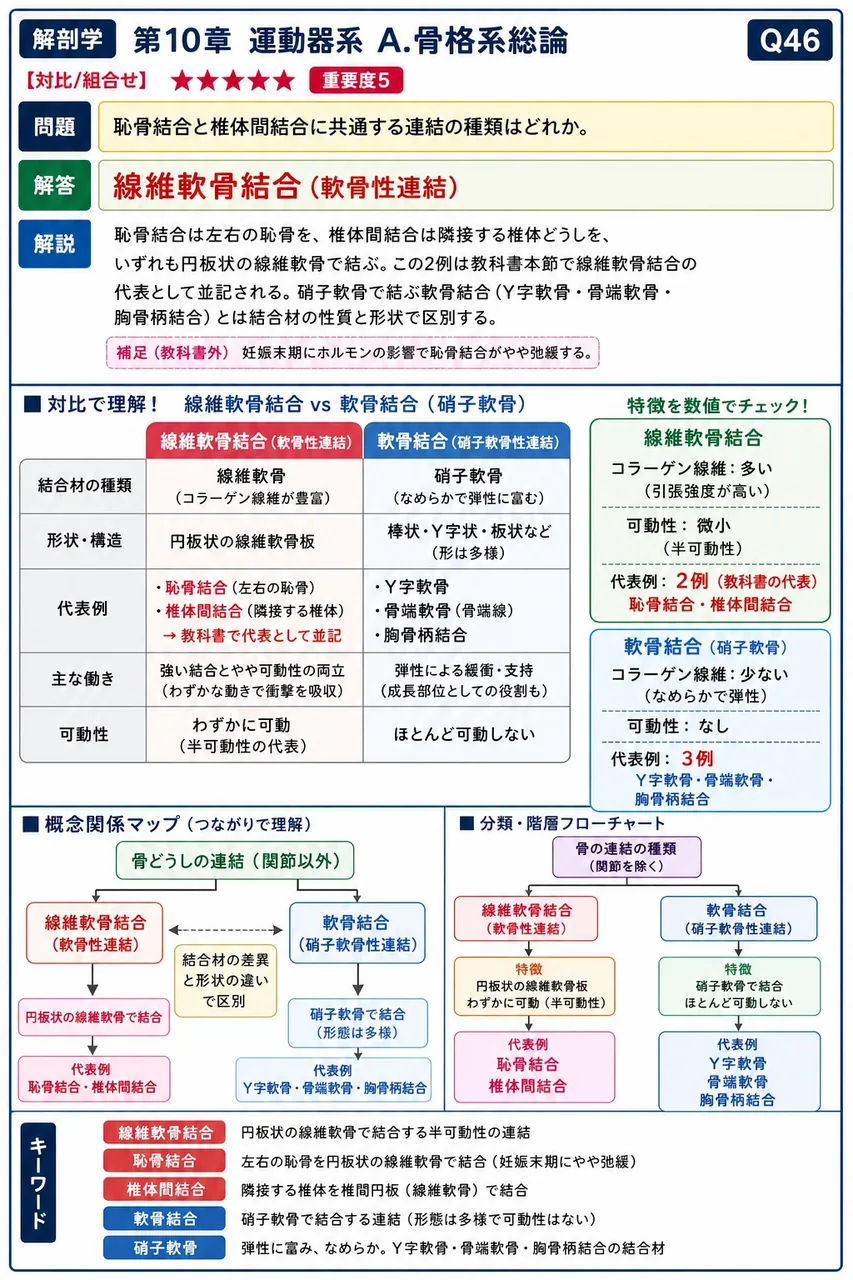 1軸性関節に分類される関節型を3つ挙げよ。 解説図