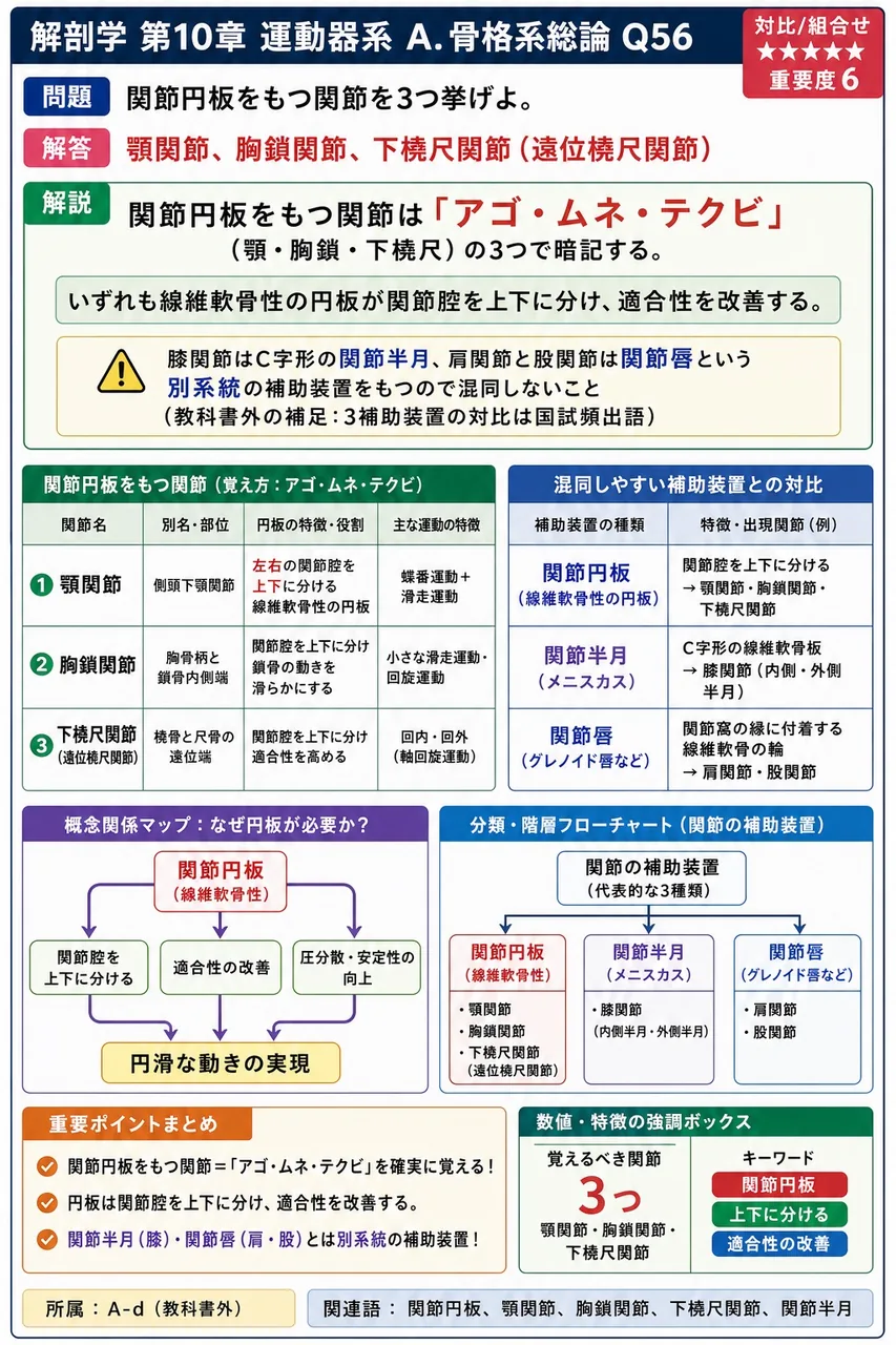 関節円板をもつ関節を3つ挙げよ。 解説図