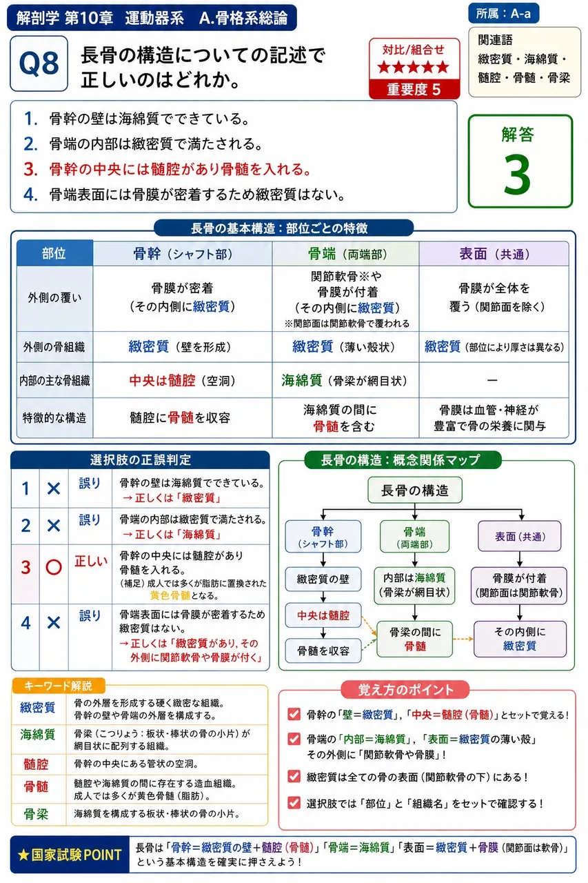 骨格筋を構成する細胞性要素として正しいのはどれか。 解説図