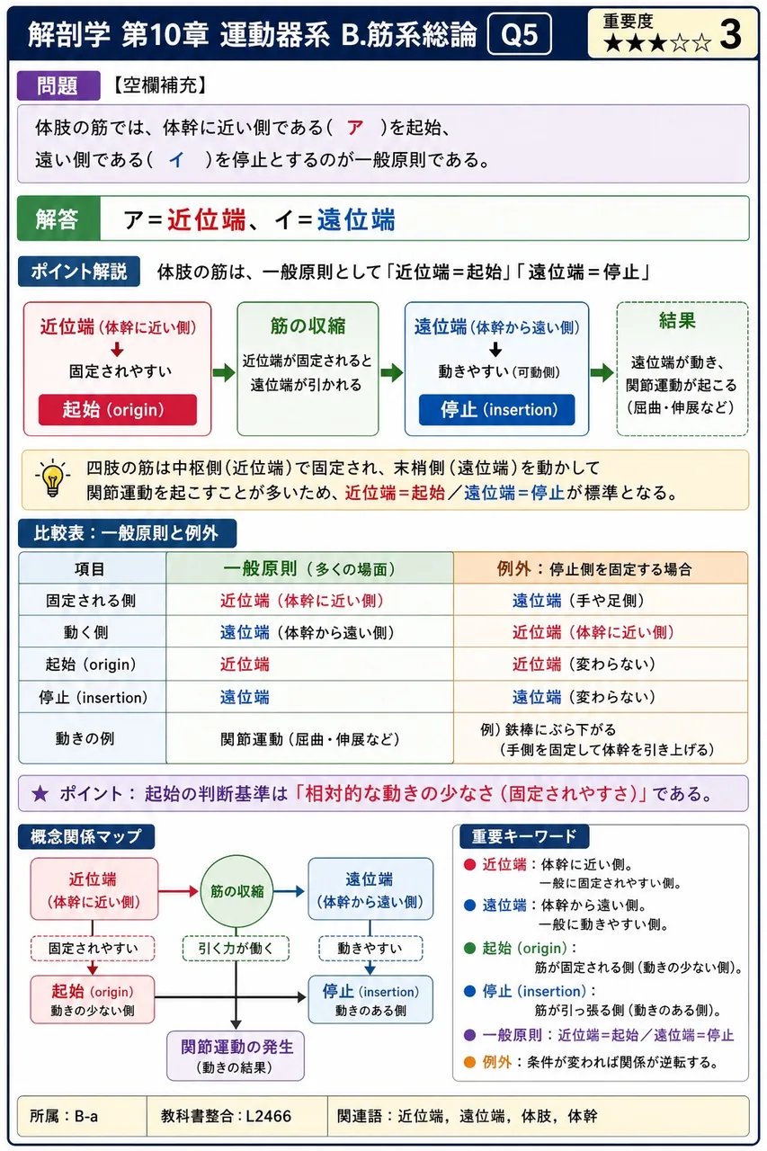 体肢の筋では、体幹に近い側である( ア )を起始、遠い側である( イ )を停止とするのが一般原則である。 解説図