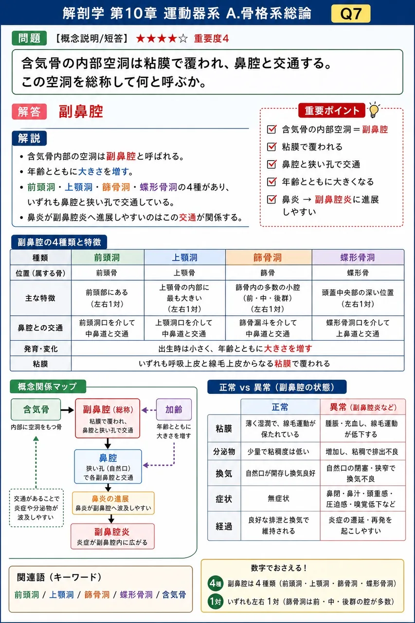 皮筋(表情筋)と一般的な骨格筋(咀嚼筋など)の対比として正しいのはどれか。 解説図
