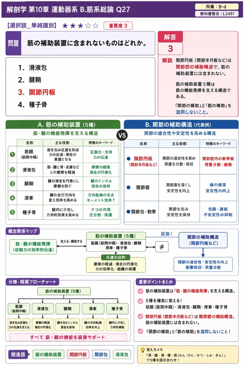 筋の補助装置に含まれないものはどれか。 解説図