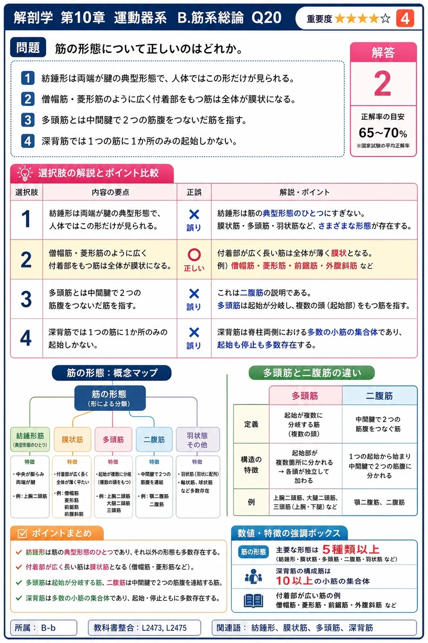 筋の補助装置とその主な機能の組合せで誤っているのはどれか。 解説図
