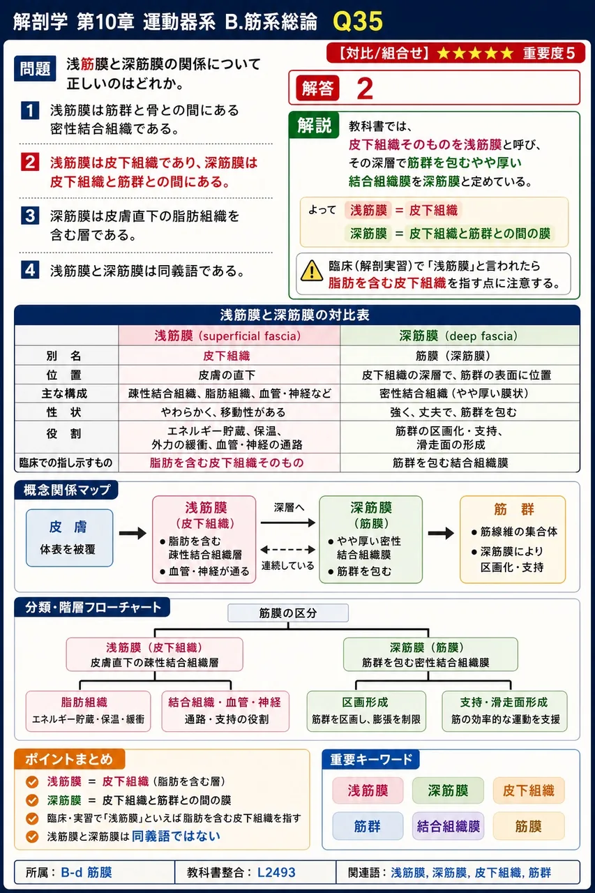 肩関節における「屈曲」とはどの方向への運動か。 解説図