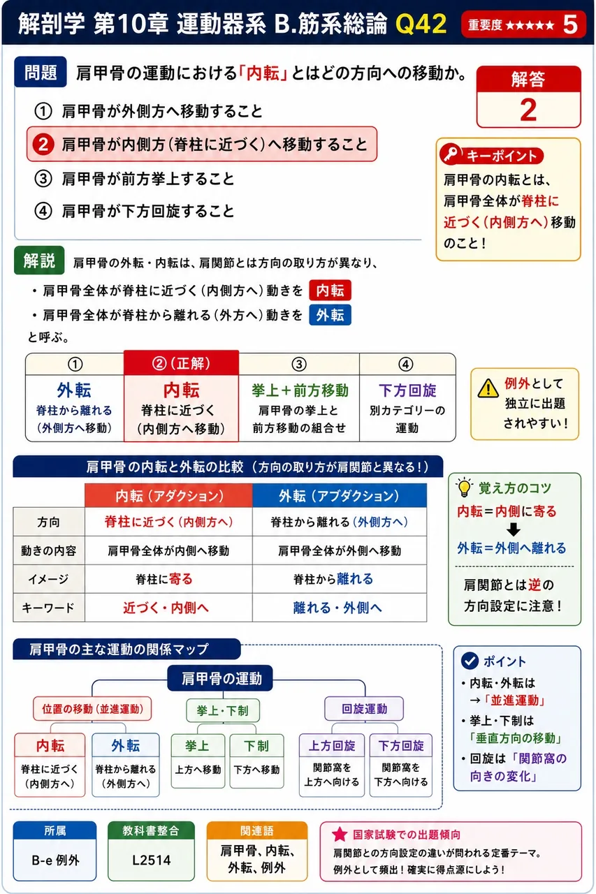 肩甲骨の運動における「内転」とはどの方向への移動か。 解説図