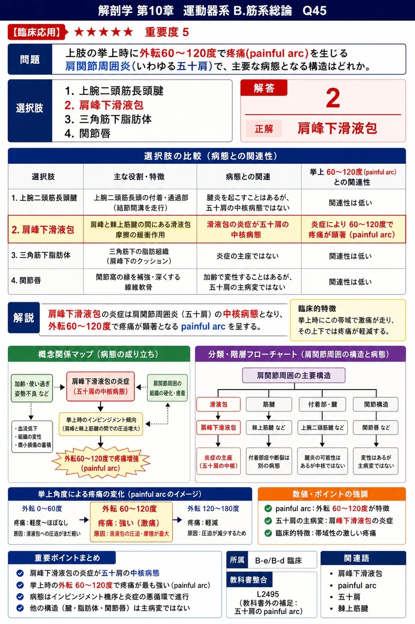 スポーツや段差でよく起こる足関節捻挫の多くで強制される運動方向はどれか。 解説図