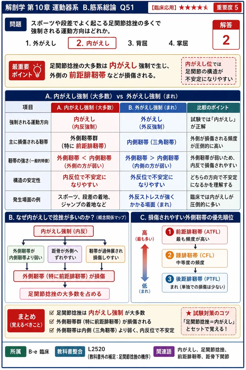 筋が関節に対しどのような作用を及ぼすかを判断する際、関節を通る「回転の中心軸」を何と呼ぶか。 解説図