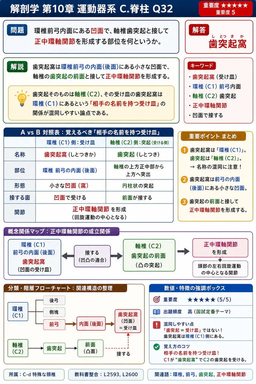 成人では、5個の仙椎が癒合して1個の( )となり、3〜5個の尾椎は癒合して1個の尾骨となる。 解説図