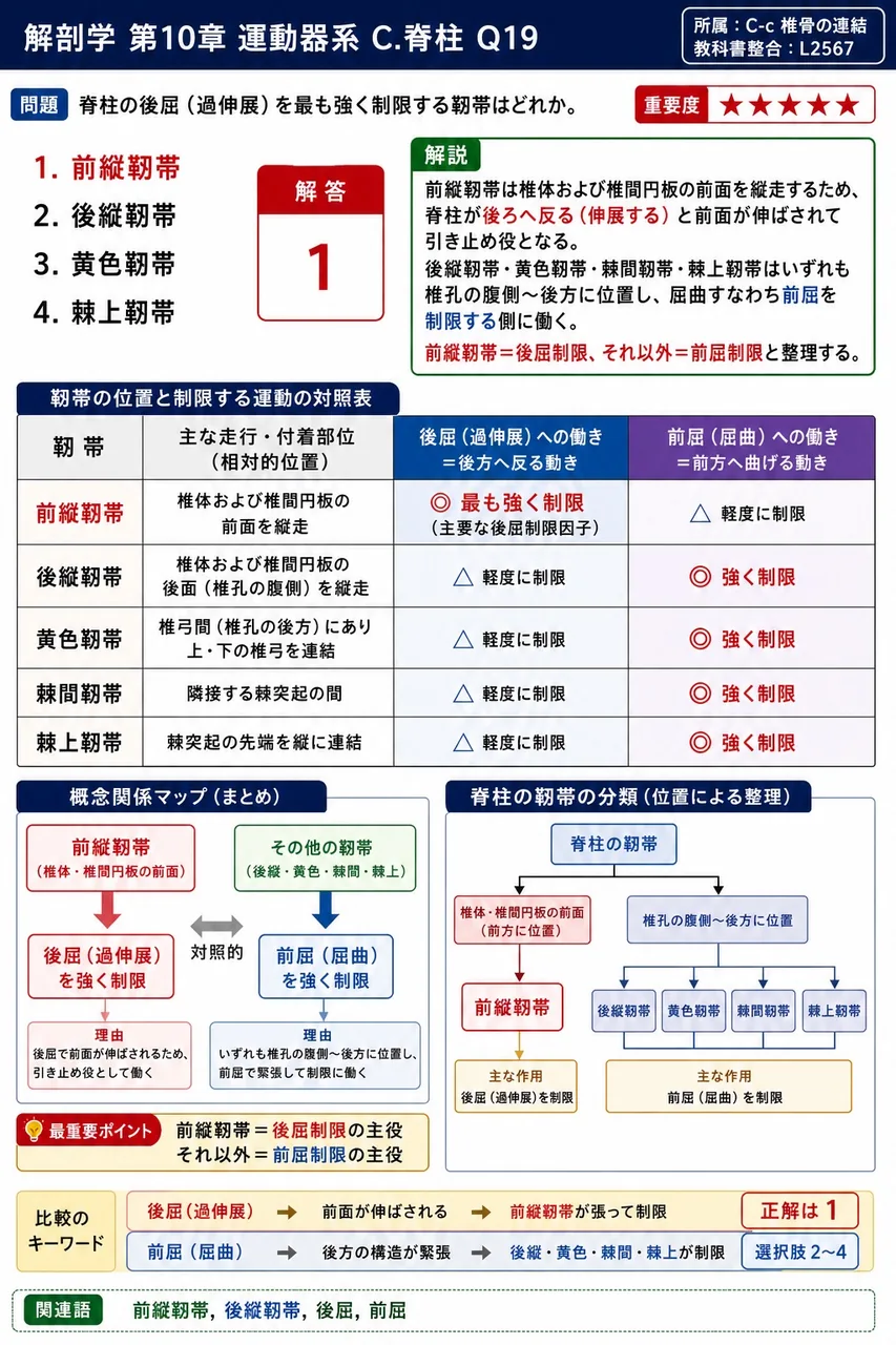 脊柱の後屈(過伸展)を最も強く制限する靭帯はどれか。 解説図