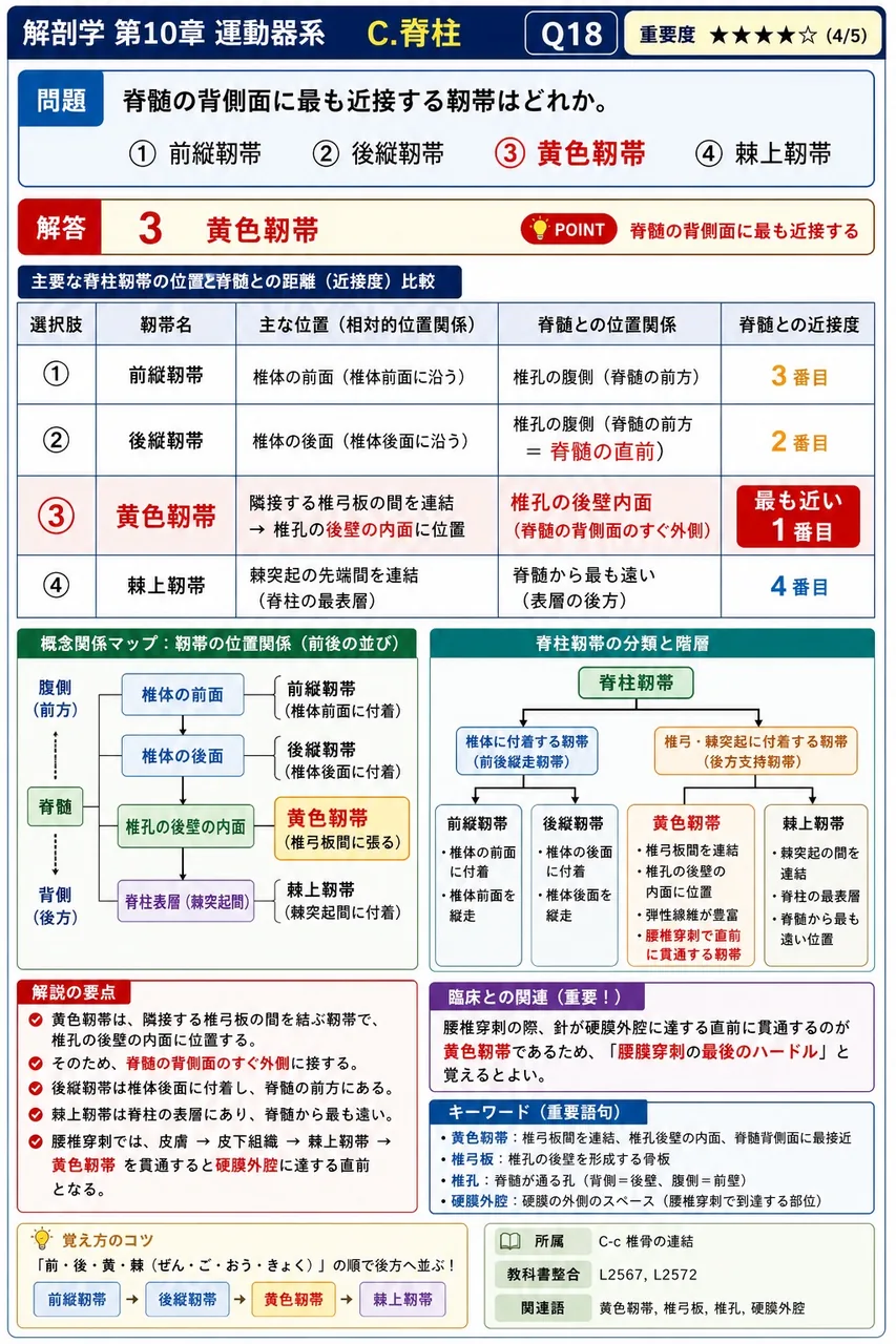 椎骨の特有構造とその所在の組合せで誤っているのはどれか。 解説図