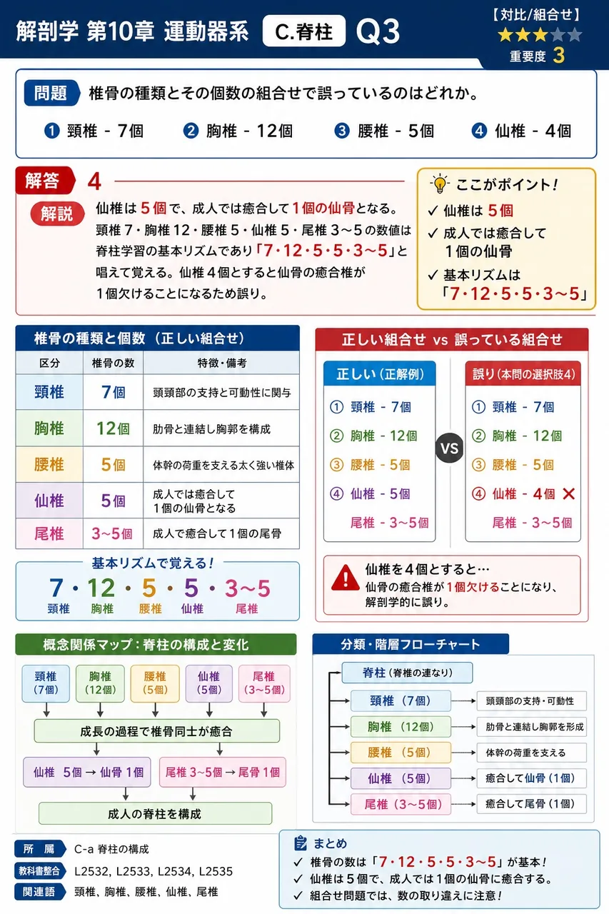 歯突起を運動軸として環椎が水平面内で回旋する車軸関節の名称は何か。 解説図