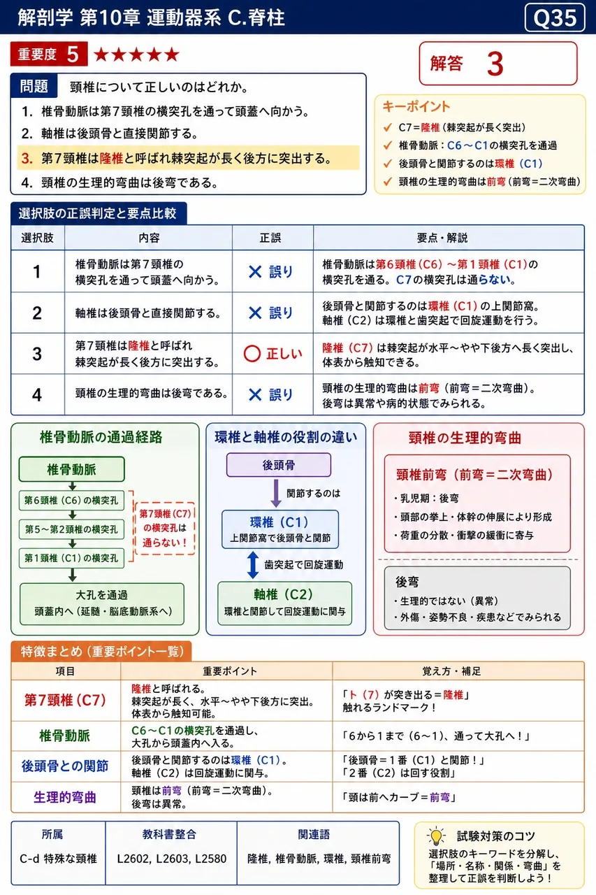 頸椎について正しいのはどれか。 解説図