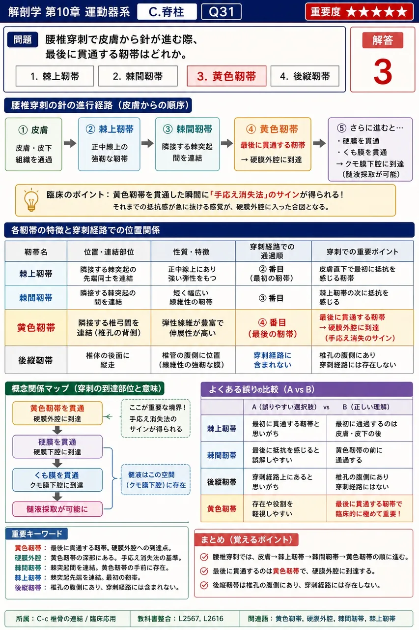 仙骨後面の3本の稜と一般椎骨部位の対応で誤っているのはどれか。 解説図