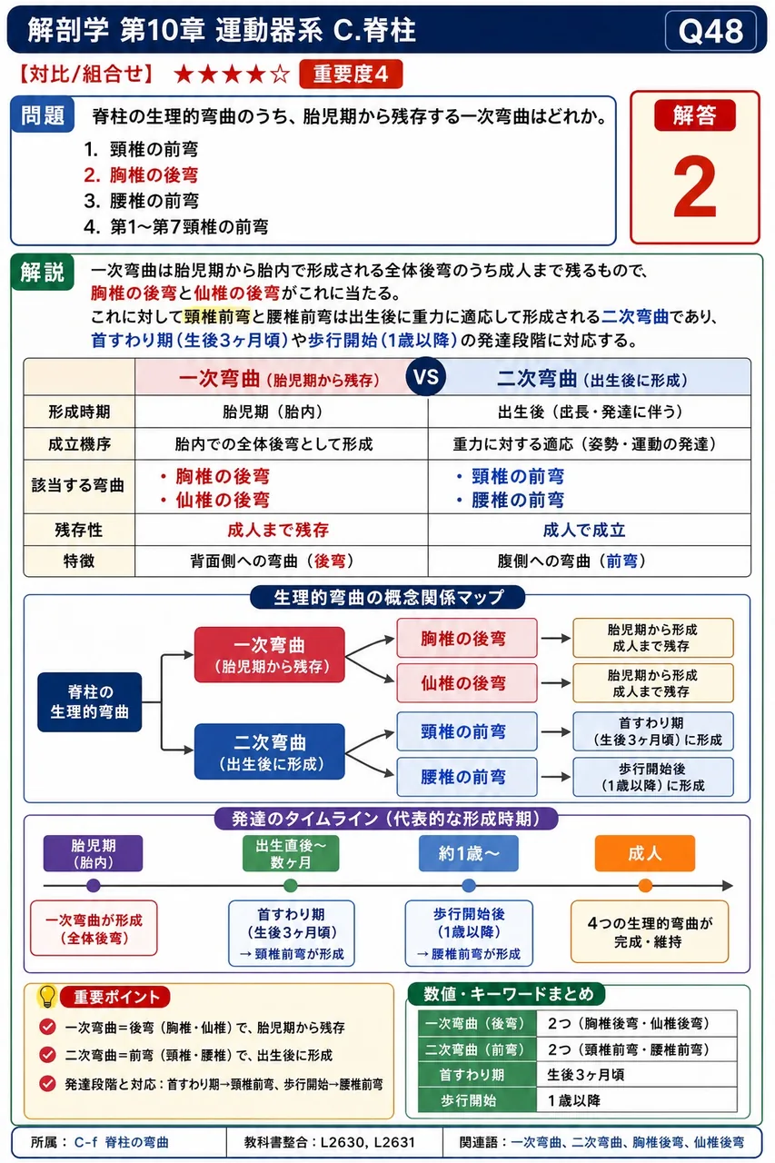 脊柱の生理的弯曲のうち、胎児期から残存する一次弯曲はどれか。 解説図