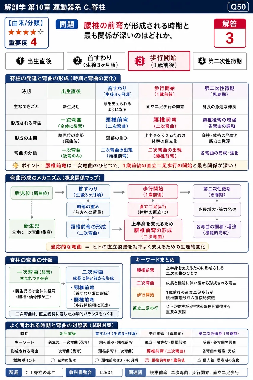 腰椎の前弯が形成される時期と最も関係が深いのはどれか。 解説図