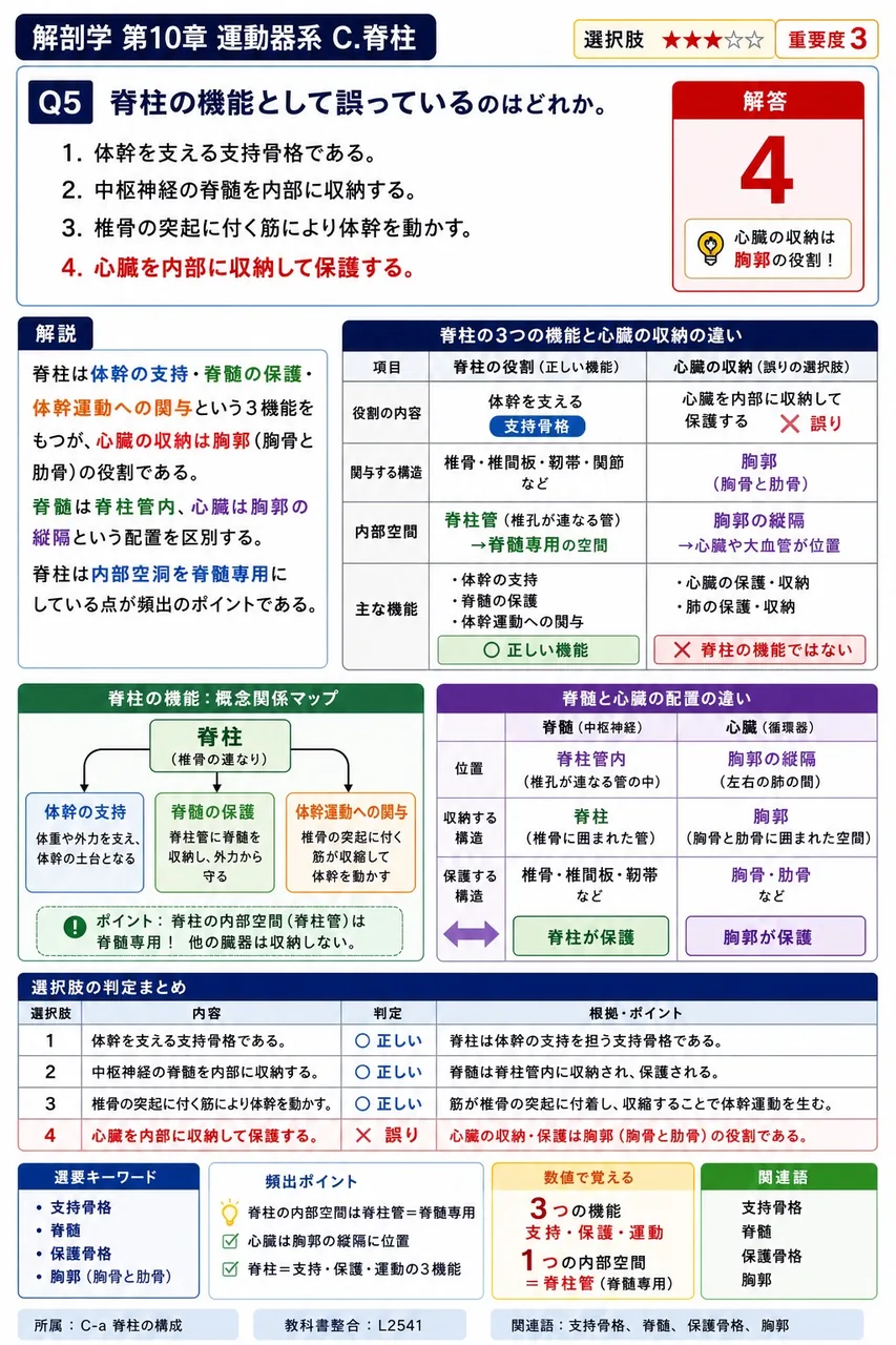 脊柱の異常弯曲についての記述で正しいのはどれか。 解説図