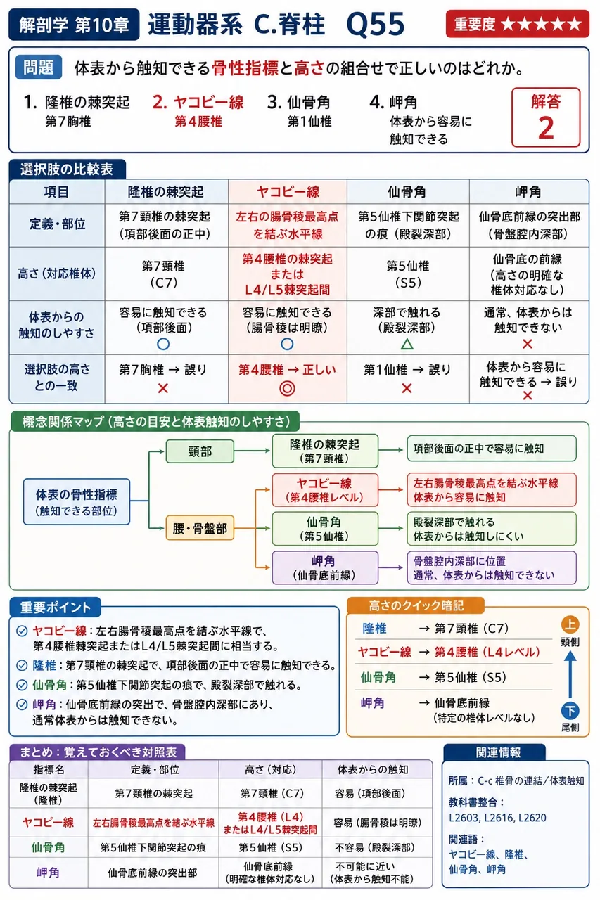 体表から触知できる骨性指標と高さの組合せで正しいのはどれか。 解説図