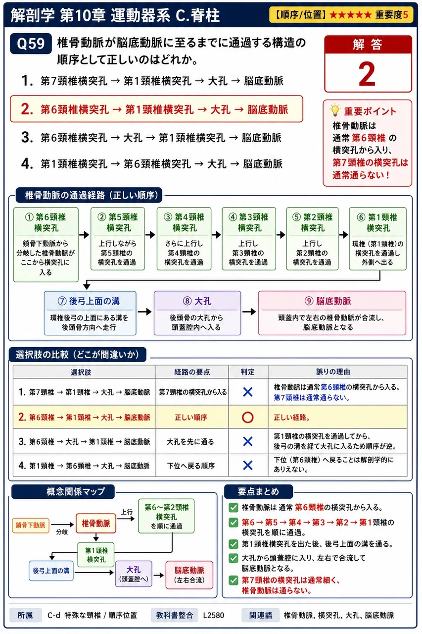 椎骨動脈が脳底動脈に至るまでに通過する構造の順序として正しいのはどれか。 解説図