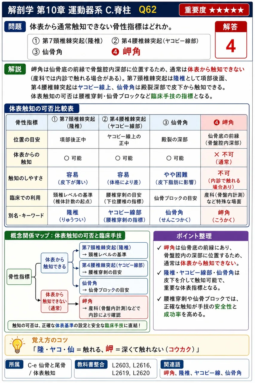 体表から通常触知できない骨性指標はどれか。 解説図