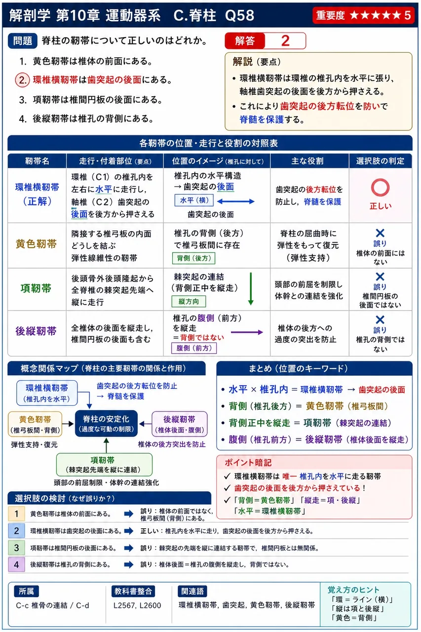 発生学的に肋骨成分に由来する構造として正しい組合せはどれか。 解説図