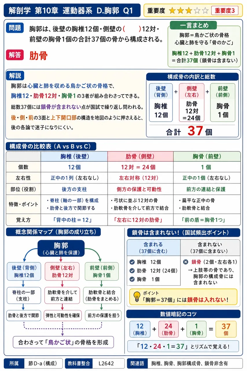 胸郭は、後壁の胸椎12個・側壁の( )12対・前壁の胸骨1個の合計37個の骨から構成される。 解説図