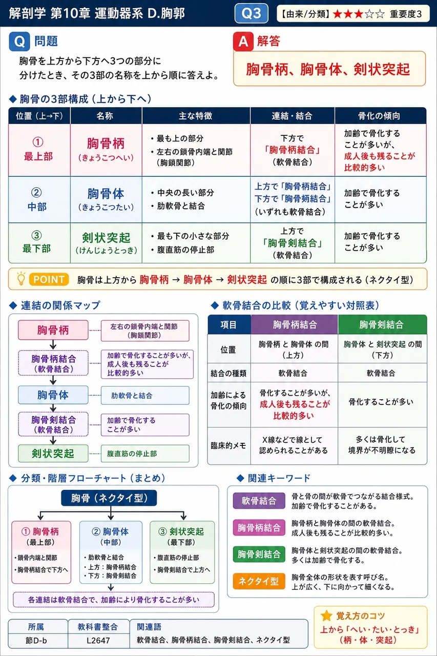 胸骨柄と胸骨体の結合縁がわずかに前方に突出する部位を( ① )といい、その外側縁には( ② )が付着する。①②に入る語の正しい組合せはどれか。 解説図